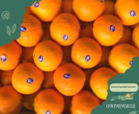 Cam Vàng Úc 