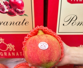 Lựu Pomegranate Tunisia