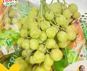 NHO XANH MỸ | Autumn Crisp
