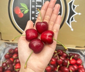 Tại sao cherry tốt cho sức khỏe?