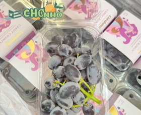 Nho Kẹo Candy Crunch Cordoma