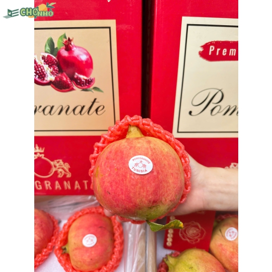 Lựu Pomegranate Tunisia