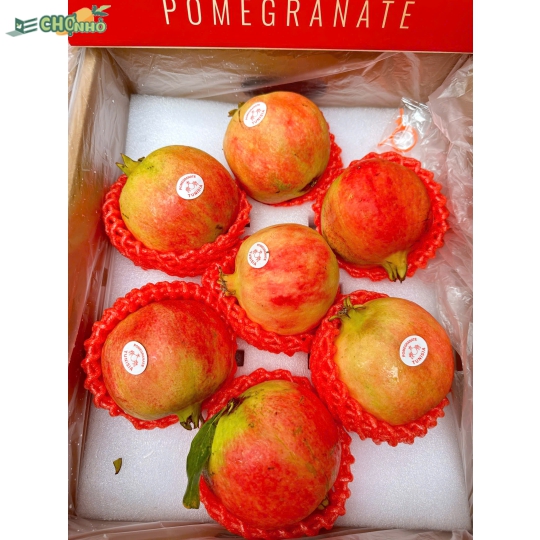 Lựu Pomegranate Tunisia